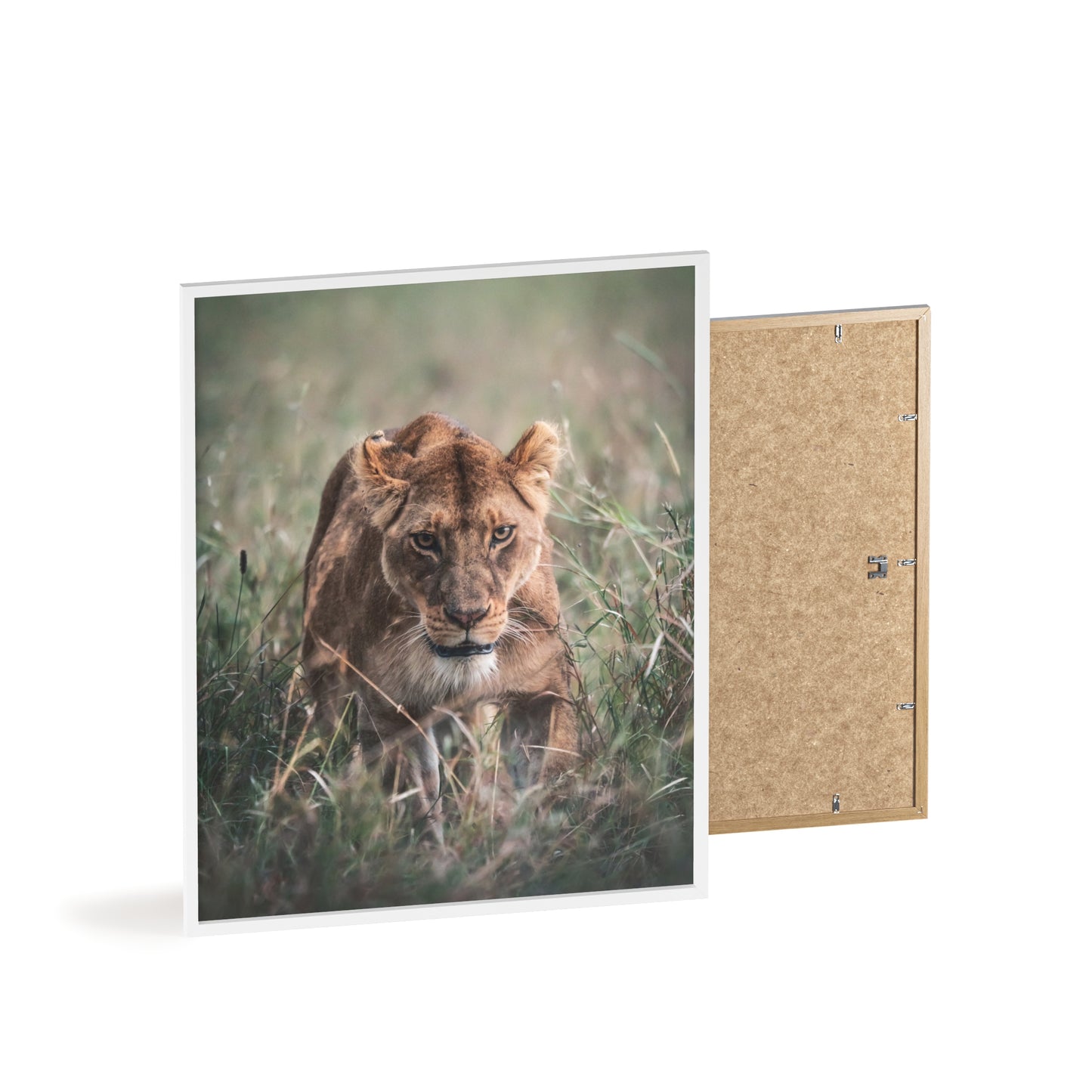 Queen of the Serengeti – Tansania, Druck mit Holzrahmen, Wanddekoration für Zuhause