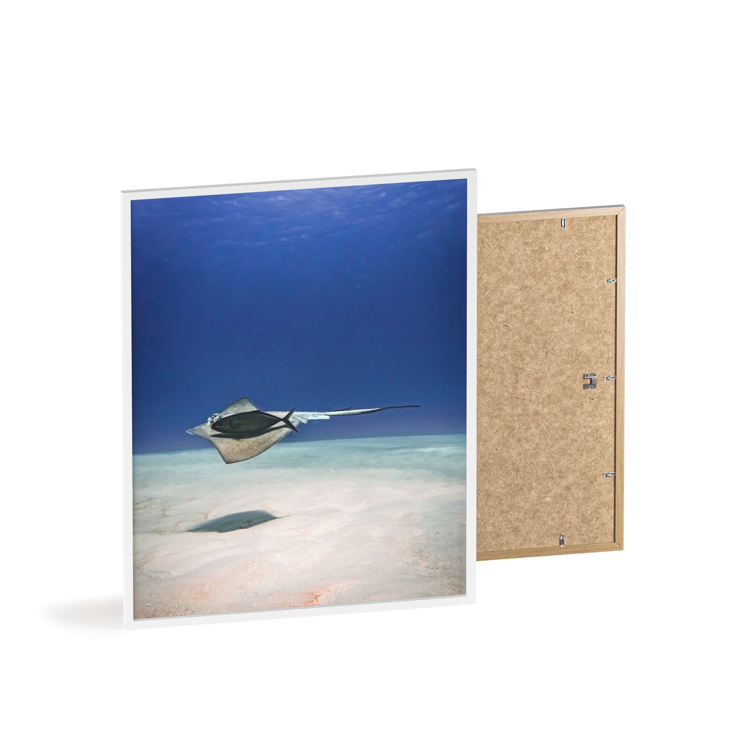 Aquatic Friends – Cozumel, Druck mit Holzrahmen, Wanddekoration für Zuhause