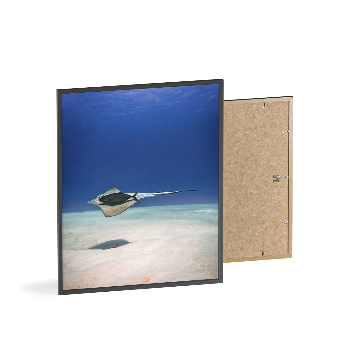 Aquatic Friends – Cozumel, Druck mit Holzrahmen, Wanddekoration für Zuhause