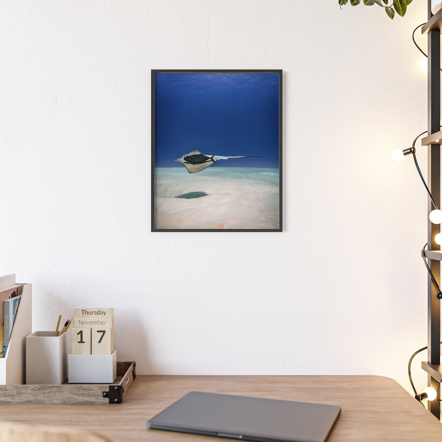 Aquatic Friends – Cozumel, Druck mit Holzrahmen, Wanddekoration für Zuhause