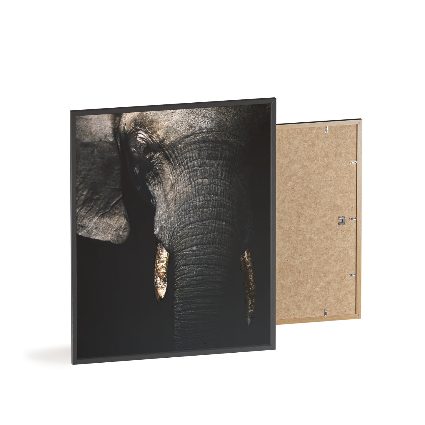 Savanna’s Giant – Botswana, Print with Wooden Frame, Home Decor