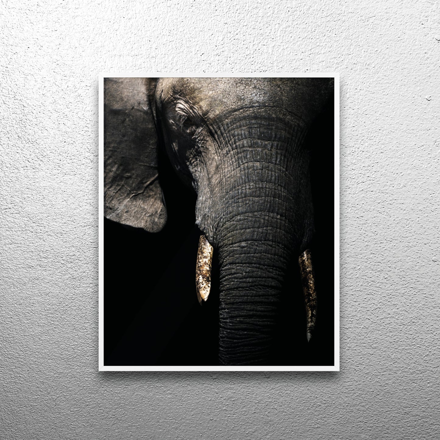 Savanna’s Giant – Botswana, Print with Wooden Frame, Home Decor