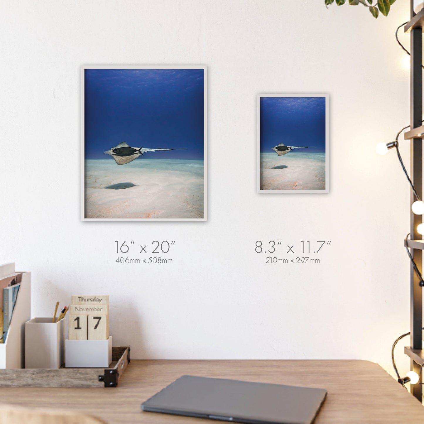 Aquatic Friends – Cozumel, Druck mit Holzrahmen, Wanddekoration für Zuhause