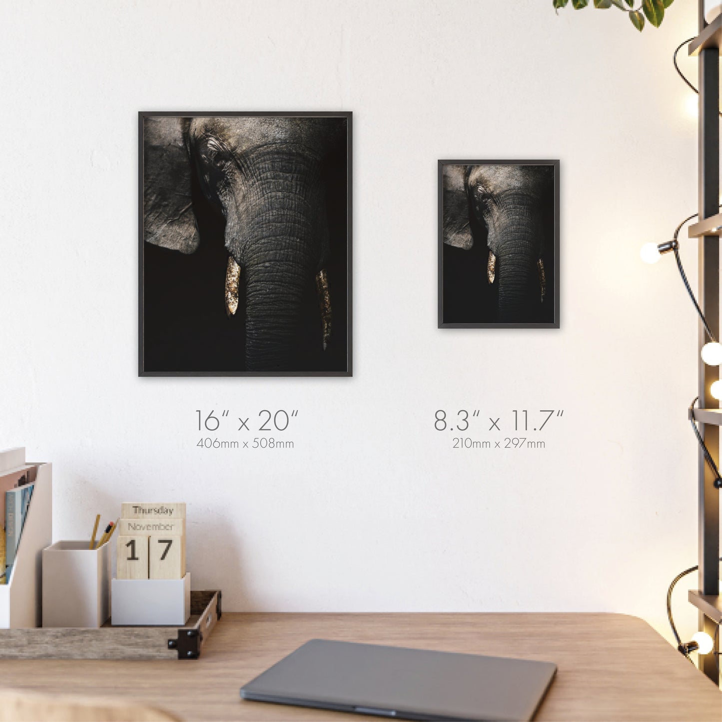 Savanna’s Giant – Botswana, Print with Wooden Frame, Home Decor