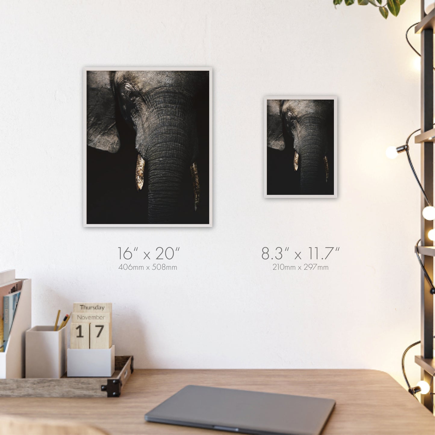 Savanna’s Giant – Botswana, Print with Wooden Frame, Home Decor