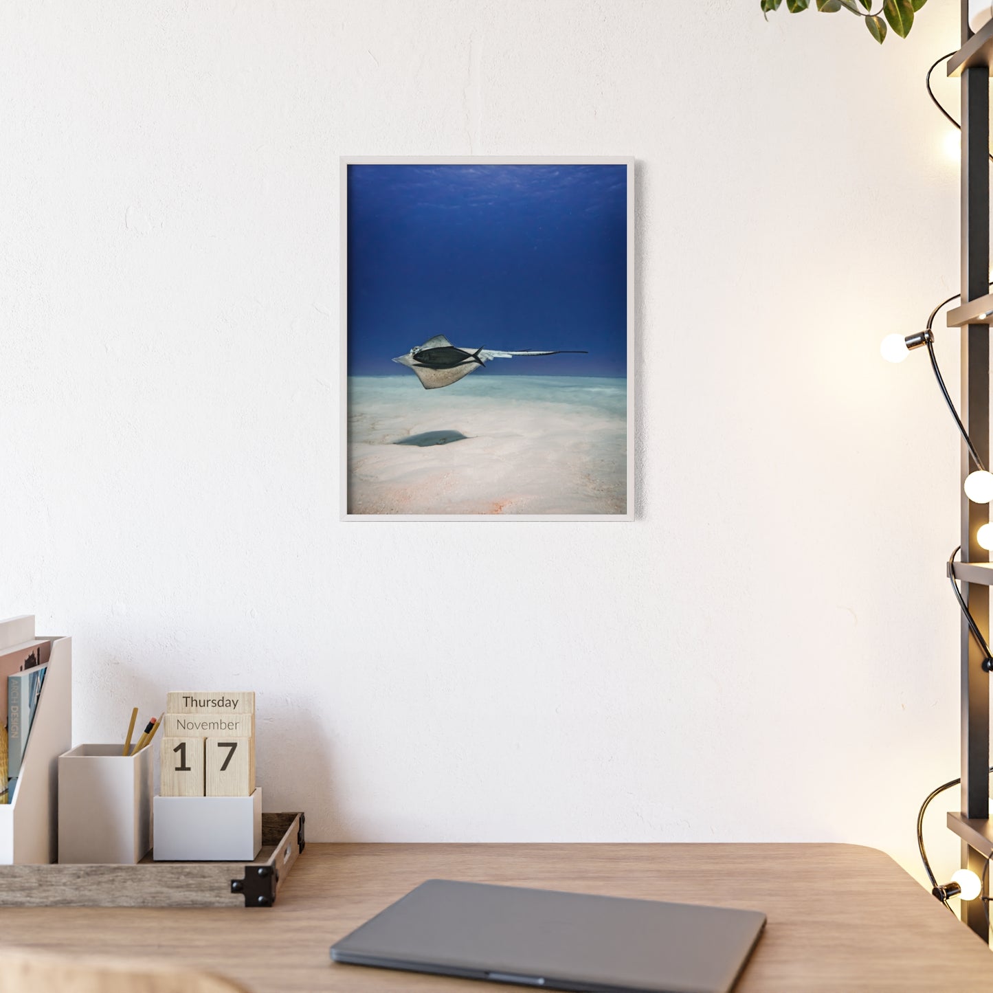 Aquatic Friends – Cozumel, Druck mit Holzrahmen, Wanddekoration für Zuhause