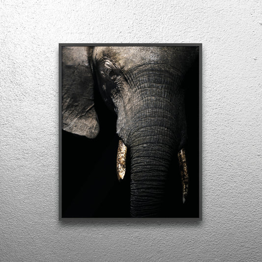 Savanna’s Giant – Botswana, Print with Wooden Frame, Home Decor