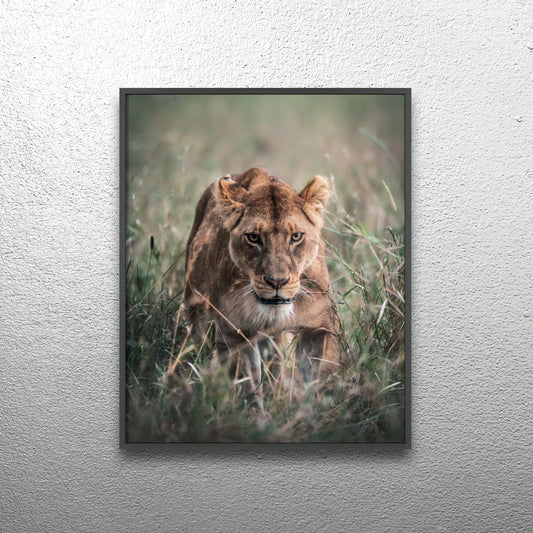 Queen of the Serengeti – Tansania, Druck mit Holzrahmen, Wanddekoration für Zuhause